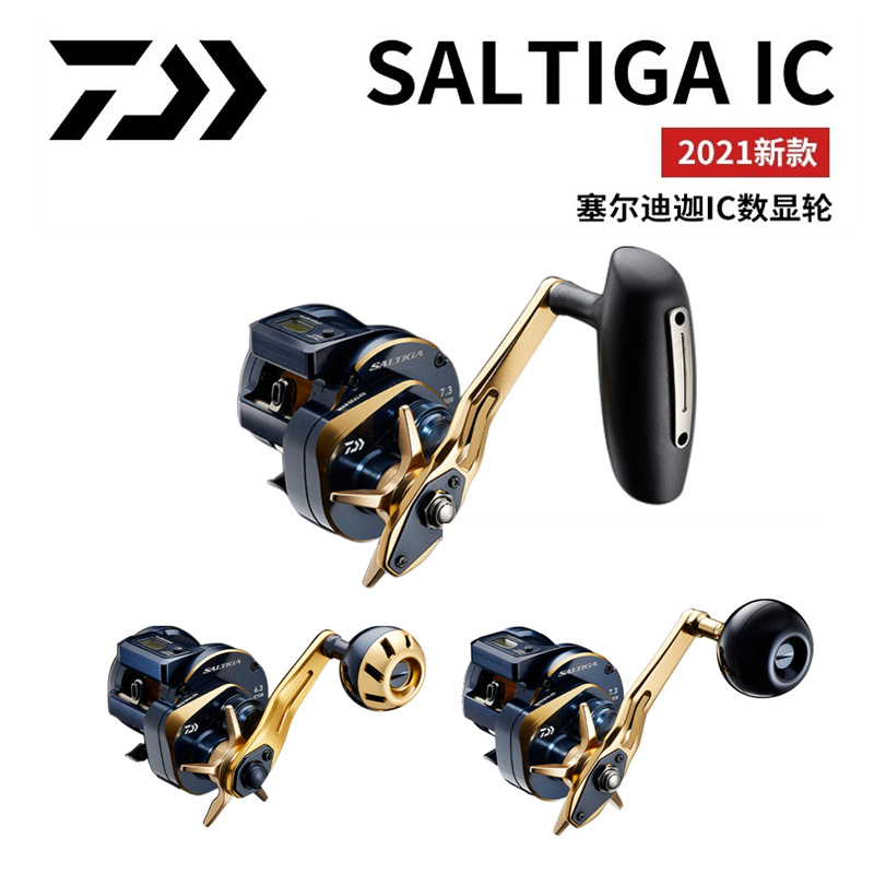 21 Japanese DAIWA Daiwa SALTIG - огляд і ціна Electric Fishing Reel